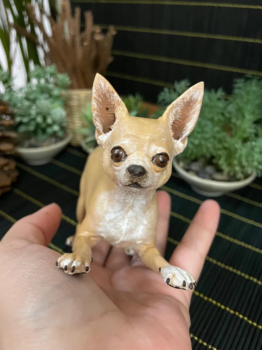 Gerçekçi boyanmış Chihuahua evcil hayvan figürü