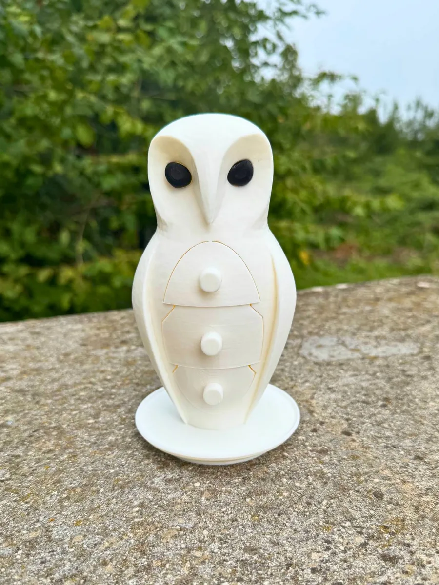 Baykuş Takı Kutusu — 3dartolyemiz atölyesinde 3D baskı