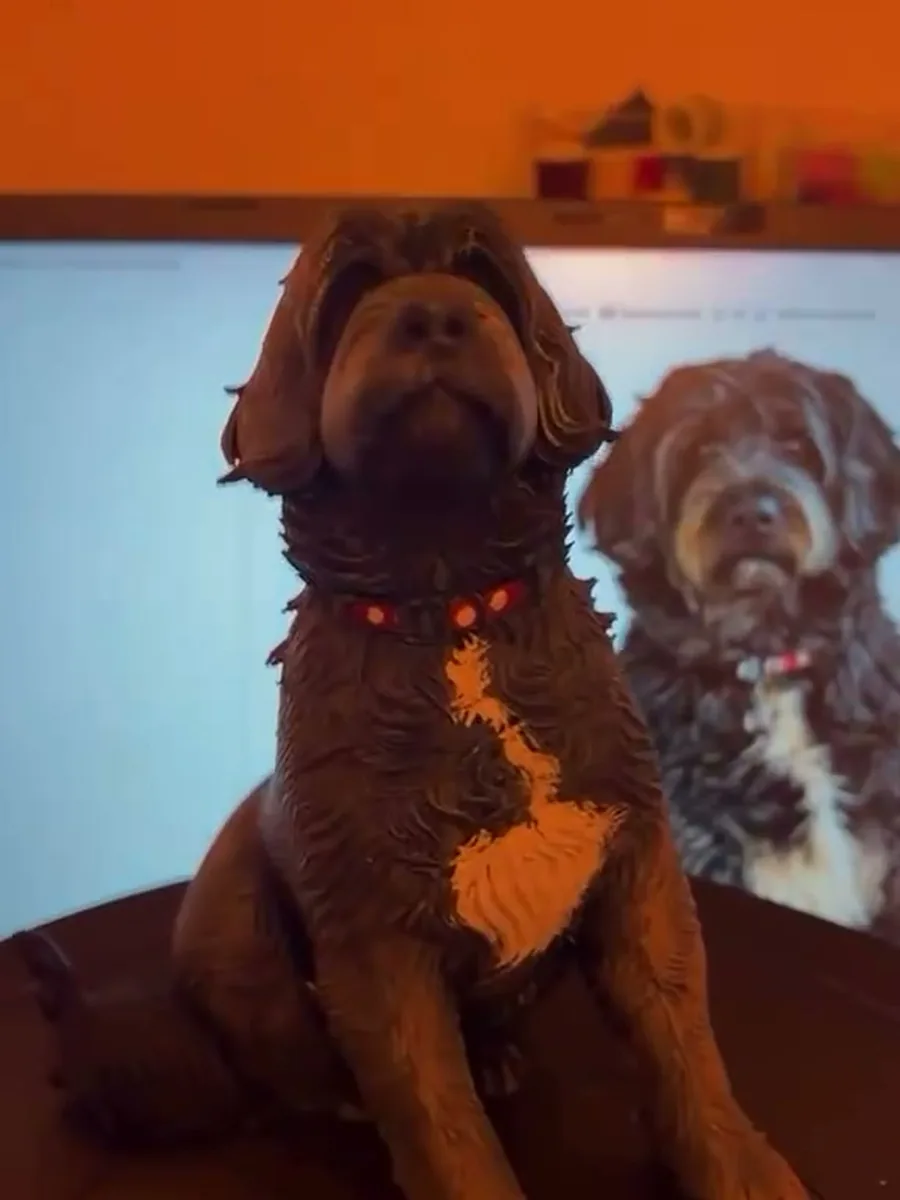 3D baskı hediye fikirleri