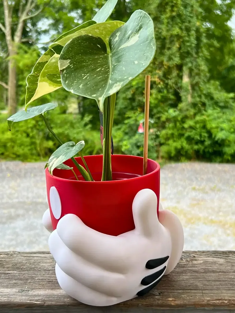İçinde bitki olan Mickey Mouse saksı