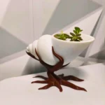 Deniz Kabuklu Saksı