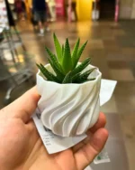 Modern Sukulent Saksı