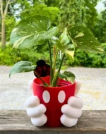 Mickey Mouse Saksı