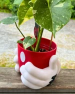 Mickey Mouse Saksı